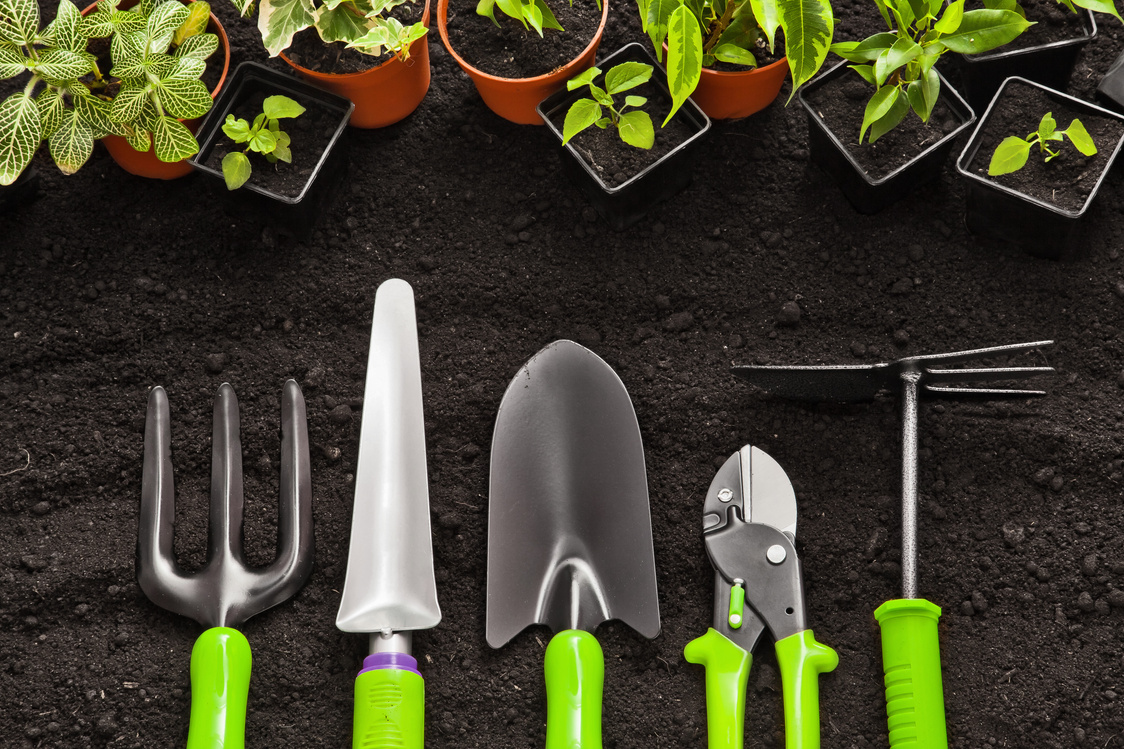 Gardening tools and plants